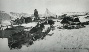 Image: Camp site: sledges, tents, furs